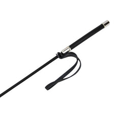 bound-to-please-riding-crop